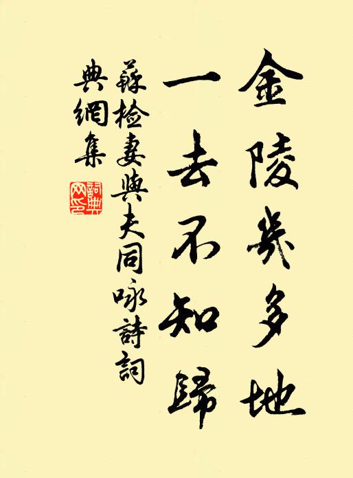 苏检妻金陵几多地，一去不知归书法作品欣赏