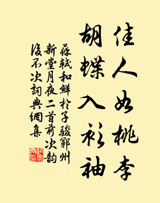 苏轼佳人如桃李，胡蝶入衫袖书法作品欣赏