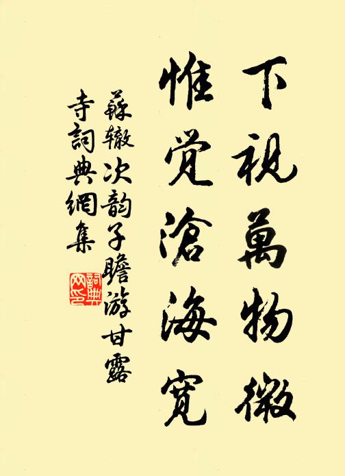 苏辙下视万物微，惟觉沧海宽书法作品欣赏