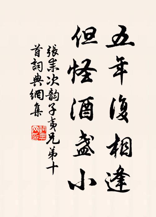 张耒五年复相逢，但怪酒盏小书法作品欣赏