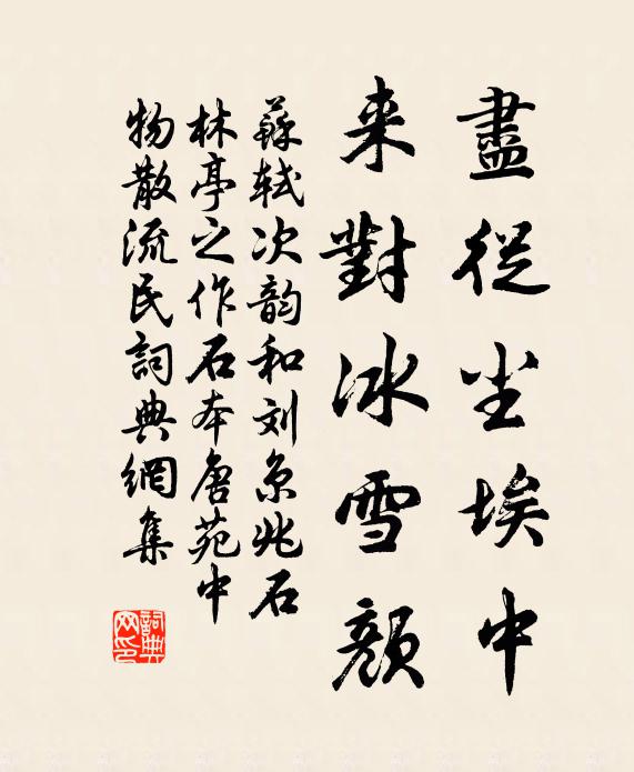 苏轼尽从尘埃中，来对冰雪颜书法作品欣赏