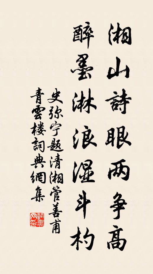 史弥宁湘山诗眼两争高，醉墨淋浪湿斗杓书法作品欣赏