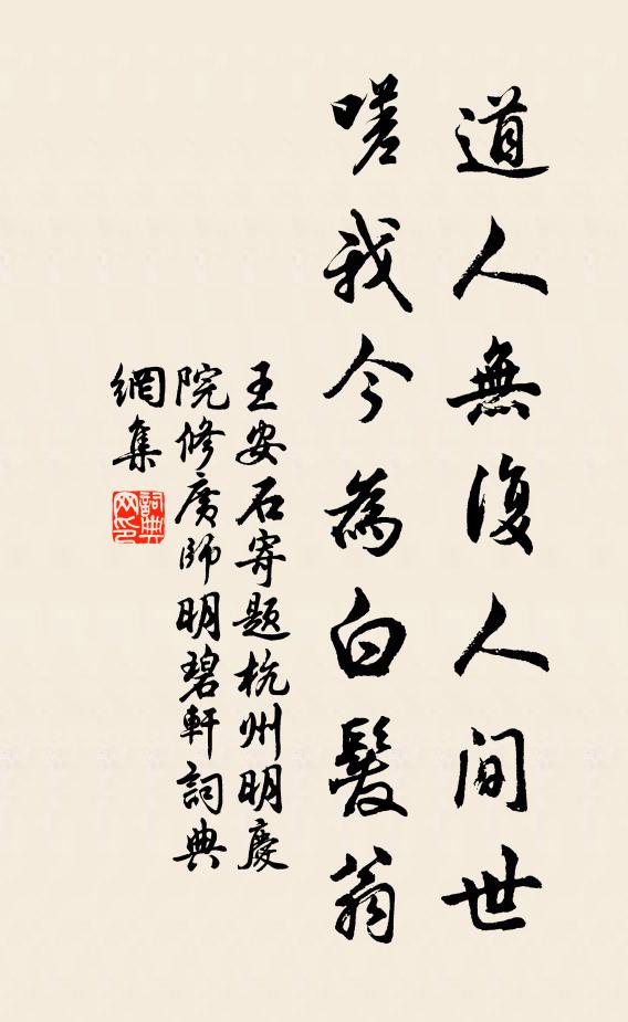 王安石道人无复人间世，嗟我今为白发翁书法作品欣赏