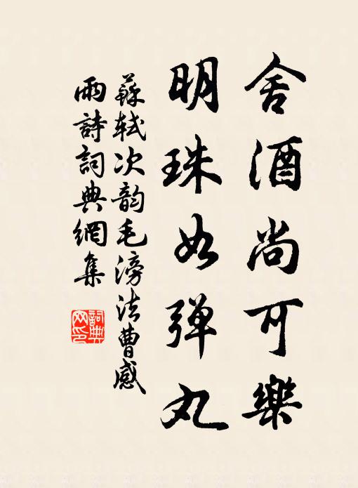 苏轼舍酒尚可乐，明珠如弹丸书法作品欣赏