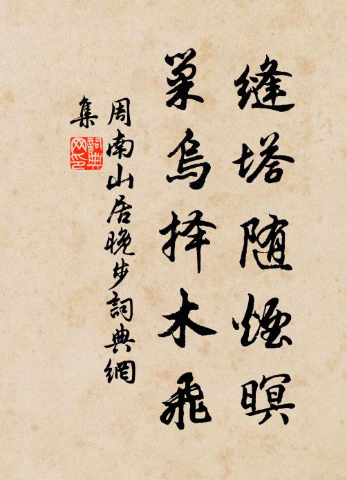 周南缝塔随烟暝，巢乌择木飞书法作品欣赏