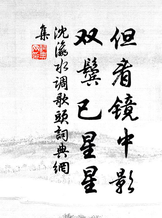 沈瀛但看镜中影，双鬓已星星书法作品欣赏