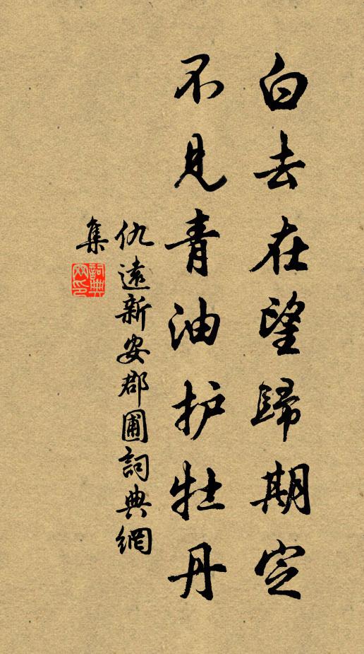 仇远白去在望归期定，不见青油护牡丹书法作品欣赏
