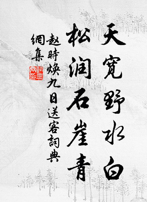 赵时焕天宽野水白，松润石崖青书法作品欣赏