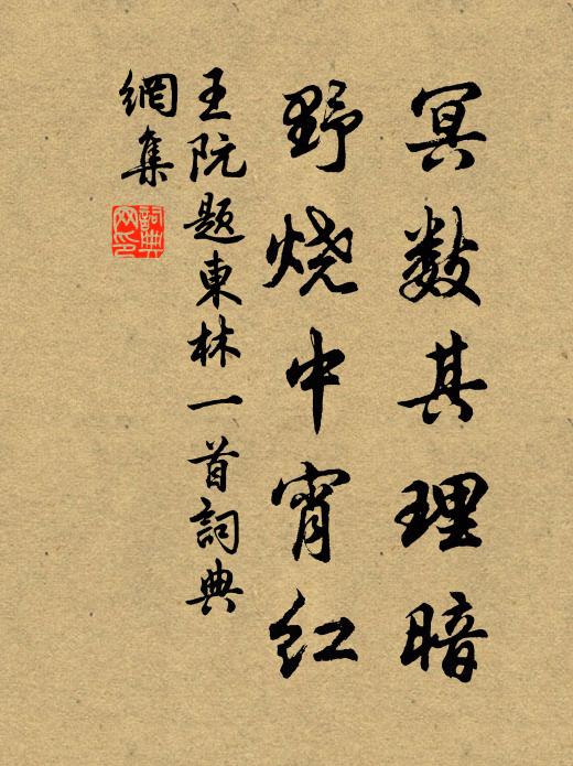 王阮冥数其理暗,野烧中宵红书法作品欣赏
