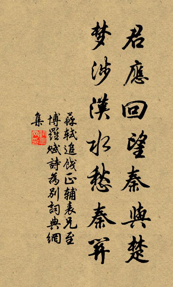 苏轼君应回望秦与楚，梦涉汉水愁秦关书法作品欣赏
