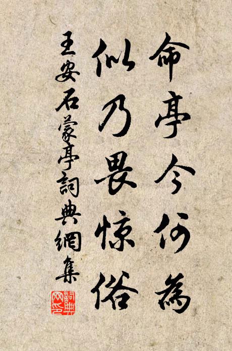 王安石命亭今何为，似乃畏惊俗书法作品欣赏