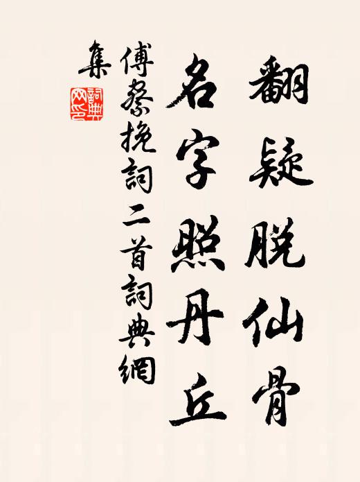 傅察翻疑脱仙骨，名字照丹丘书法作品欣赏
