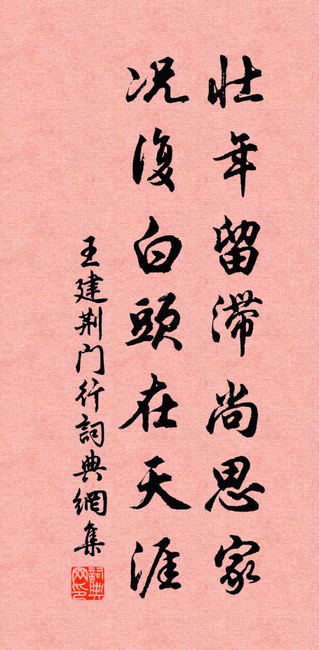 王建壮年留滞尚思家，况复白头在天涯书法作品欣赏