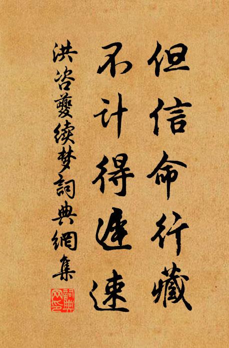 洪咨夔但信命行藏，不计得迟速书法作品欣赏