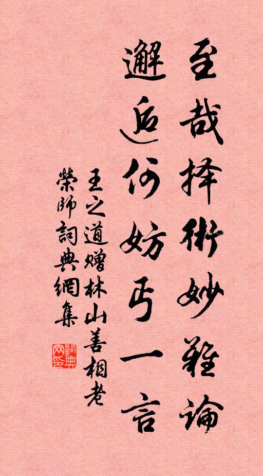 王之道至哉择术妙难论，邂逅何妨丐一言书法作品欣赏