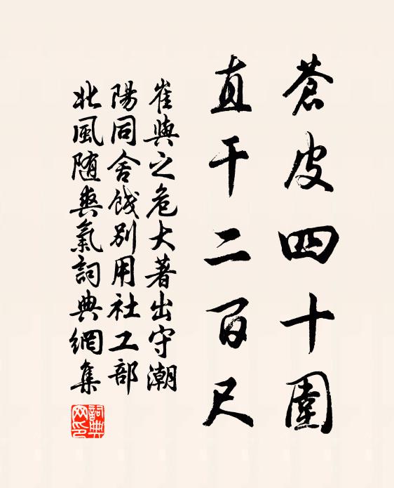 崔与之苍皮四十围，直干二百尺书法作品欣赏