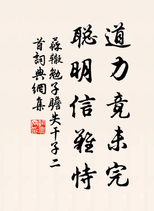 苏辙道力竟未完，聪明信难恃书法作品欣赏