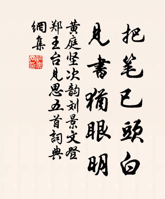 黄庭坚把笔已头白，见书犹眼明书法作品欣赏