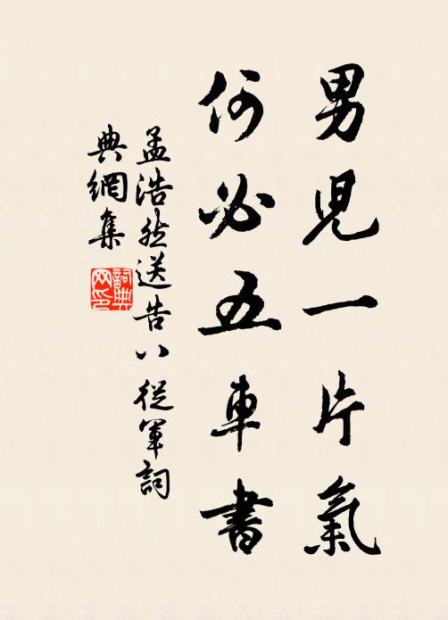 孟浩然男儿一片气，何必五车书书法作品欣赏