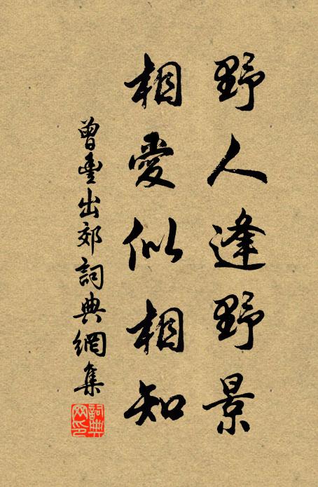 曾丰野人逢野景，相爱似相知书法作品欣赏