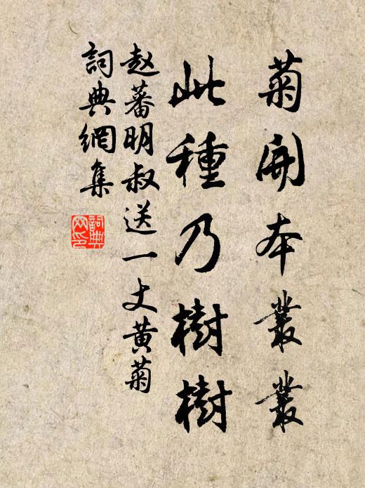 赵蕃菊开本丛丛，此种乃树树书法作品欣赏