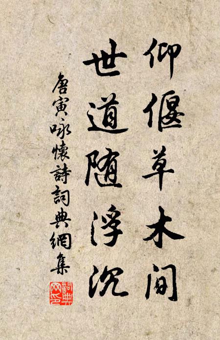 唐寅仰偃草木间，世道随浮沉书法作品欣赏