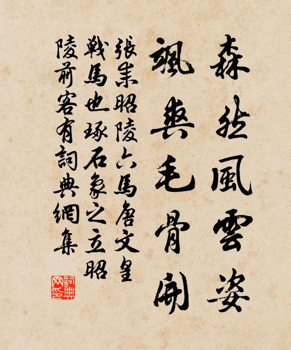 张耒森然风云姿，飒爽毛骨开书法作品欣赏