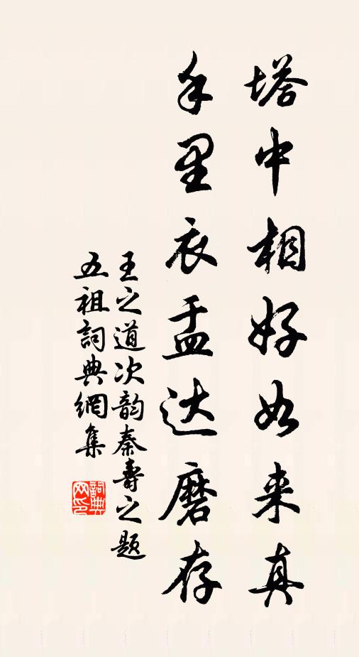 王之道塔中相好如来真，手里衣盂达磨存书法作品欣赏