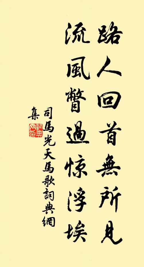 司马光路人回首无所见，流风瞥过惊浮埃书法作品欣赏