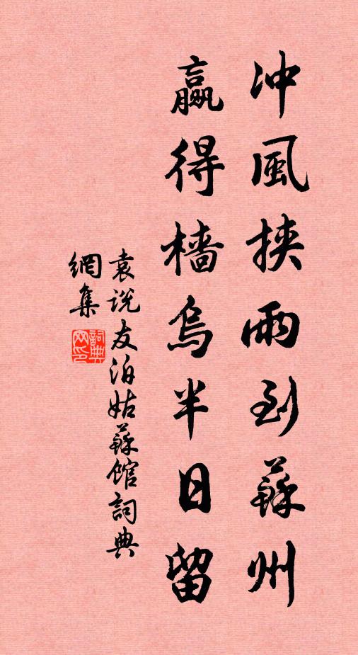 袁说友冲风挟雨到苏州，赢得樯乌半日留书法作品欣赏