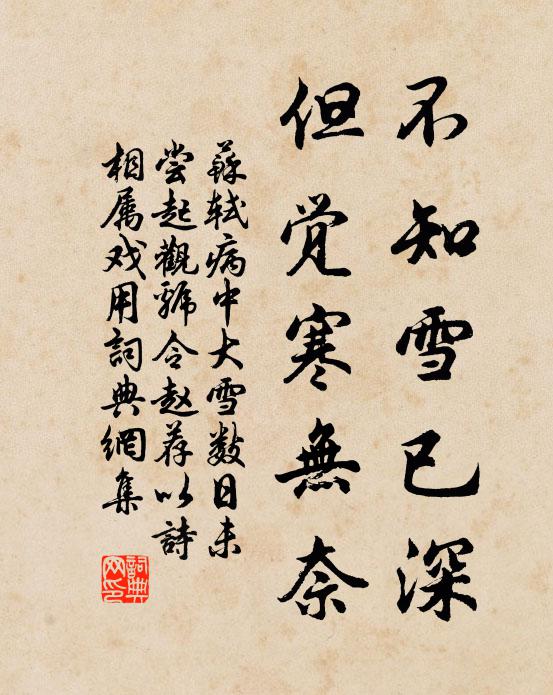 苏轼不知雪已深，但觉寒无奈书法作品欣赏