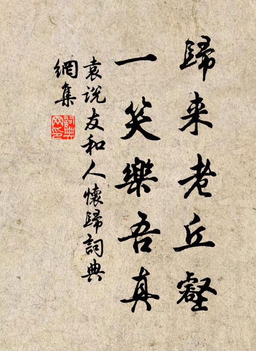 袁说友归来老丘壑，一笑乐吾真书法作品欣赏