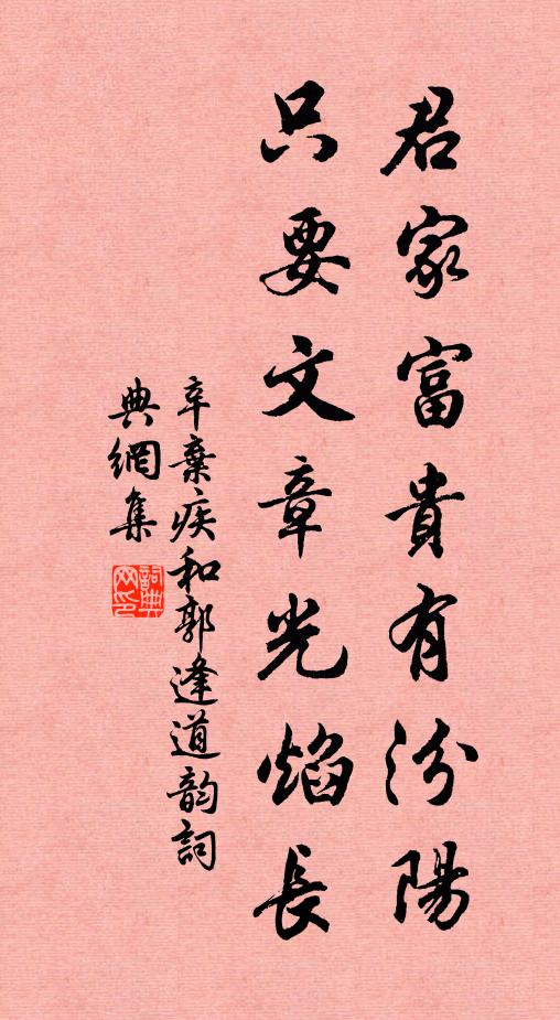 辛弃疾君家富贵有汾阳，只要文章光焰长书法作品欣赏