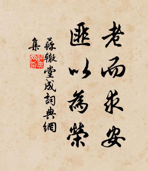 苏辙老而求安，匪以为荣书法作品欣赏