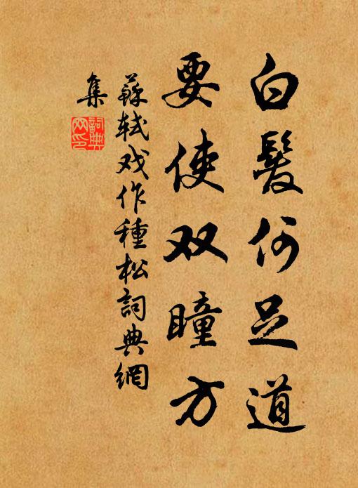 苏轼白发何足道，要使双瞳方书法作品欣赏