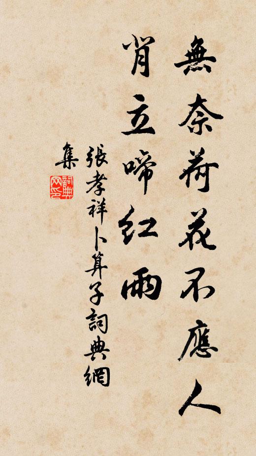 张孝祥无奈荷花不应人，背立啼红雨书法作品欣赏