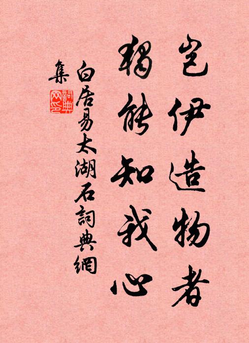 白居易岂伊造物者，独能知我心书法作品欣赏