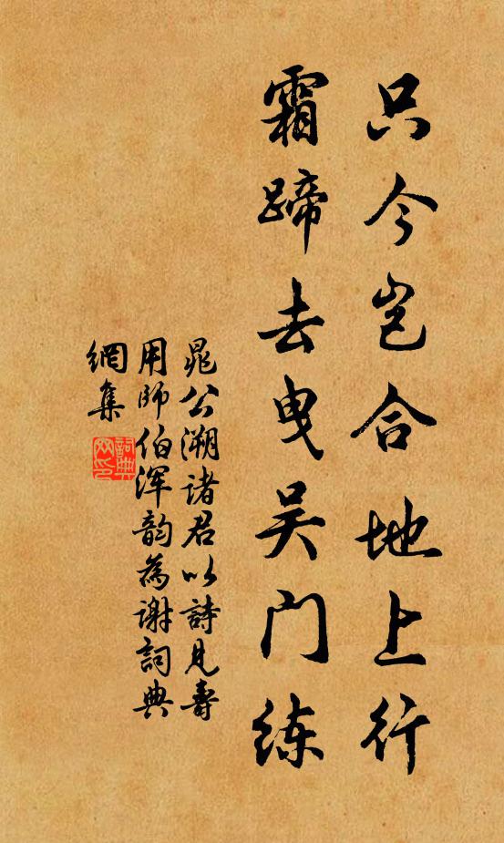 晁公溯只今岂合地上行，霜蹄去曳吴门练书法作品欣赏