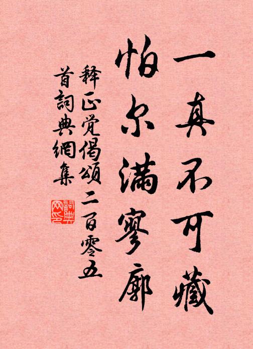 释正觉一真不可藏，怕尔满寥廓书法作品欣赏