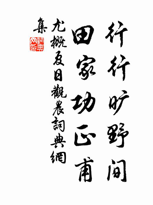 尤概行行旷野间，田家功正甫书法作品欣赏