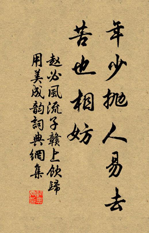 赵必年少抛人易去,苦也相妨书法作品欣赏