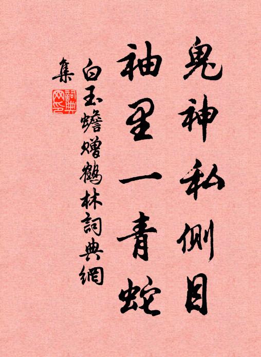 白玉蟾鬼神私侧目，袖里一青蛇书法作品欣赏