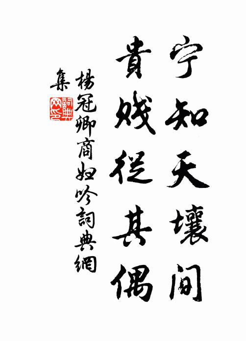 杨冠卿宁知天壤间，贵贱从其偶书法作品欣赏