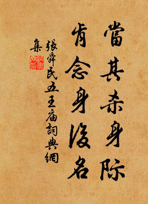 张舜民当其杀身际，肯念身后名书法作品欣赏