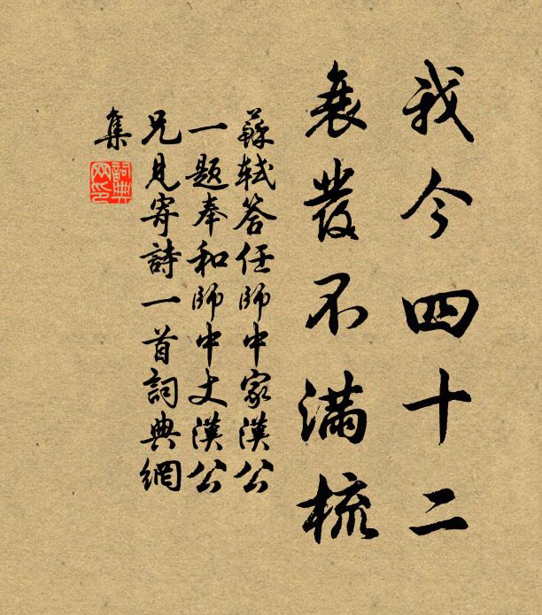 苏轼我今四十二，衰发不满梳书法作品欣赏