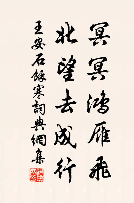 王安石冥冥鸿雁飞，北望去成行书法作品欣赏