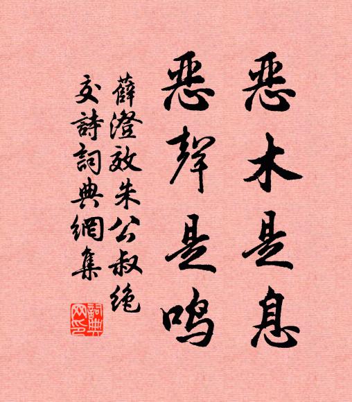 薛澄恶木是息，恶声是鸣书法作品欣赏