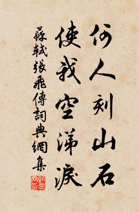 苏轼何人刻山石，使我空涕泪书法作品欣赏
