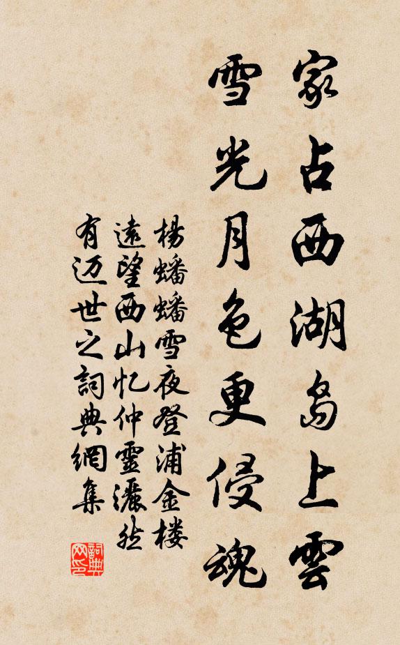 杨蟠家占西湖岛上云，雪光月色更侵魂书法作品欣赏