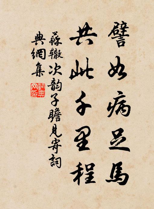 苏辙譬如病足马，共此千里程书法作品欣赏